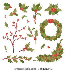 Christmas holly berry decoration vector leaves tree set, Xmas traditional Holly Berry symbol leaf icon branch illustration isolated