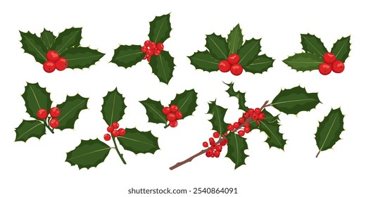 Christmas holly berry flat set. Green leaves and red berries isolated on white background. Elements suitable for decorative Christmas festival, New year invitations, greeting cards.