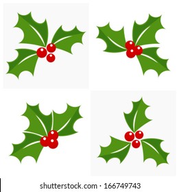 Christmas holly berry icon collection. Vector illustration