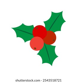 Christmas holly berry isolado no fundo branco.