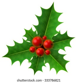 Holly-bush Images, Stock Photos & Vectors | Shutterstock