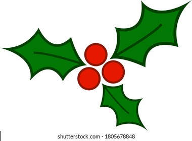 Christmas holly  berry leaf illustration on white background