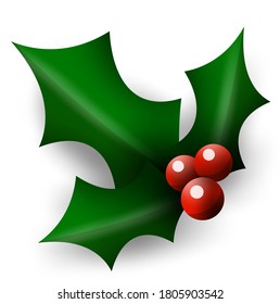 Christmas holly  berry leaf illustration on white background