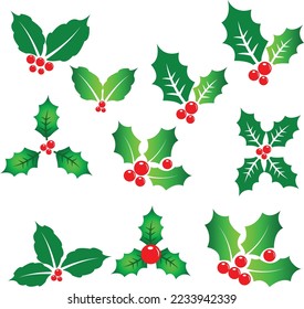 Christmas Holly Berry Leaves editable vector file.