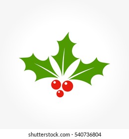 Christmas holly berry leaves icon illustration