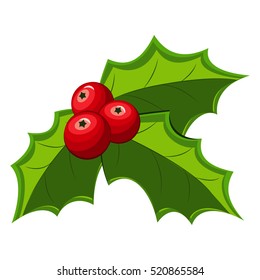 Christmas holly berry leaves illistration. Vector red mistletoe isolated on a white background.