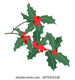 Christmas holly berry with leaves isolated on white background. Vector illustration. Ilex opaca plant. Christmas symbol