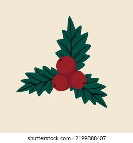Christmas holly berry leaves isolated. Cute holly isolated on white background. Vector illustration.