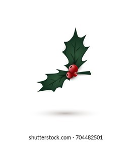 Christmas Holly berry  leaves  isolated. Christmas symbol.  Vector illustration