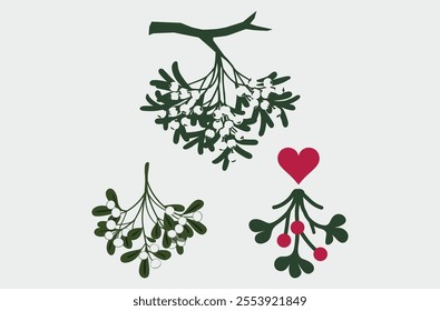 Christmas holly berry leaves. Christmas mistletoe icon. Cartoon holly leaves and berries. Mistletoe icon. Christmas Holly berry icon. Vector illustration.