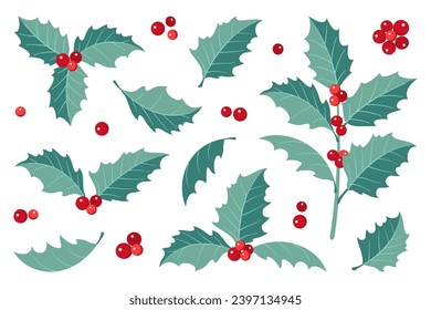 Christmas holly berry leaves. Christmas symbol vector illustration.