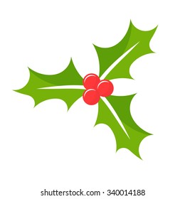 Christmas Holly berry leaves. Vector illustration