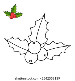 Christmas Holly Berry mistletoe coloring pages for kids. Trace and color Christmas Holly Berry. Leaves of mistletoe with berries isolated on white background. Holly winter plant with berries Vector.