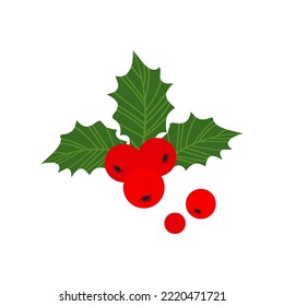 Christmas holly berry vector icon, mistletoe and leaf, red ilex branch, cartoon xmas plant. Holiday illustration