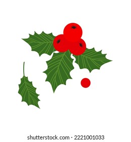 Christmas holly berry vector icon, mistletoe and leaf, ilex branch, cartoon xmas plant isolated on white background. Holiday illustration
