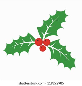 Christmas holly berry - vector illustration