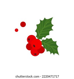 Christmas holly berry vector, mistletoe and leaf icon, red ilex branch, cartoon xmas plant isolated on white background. Holiday illustration