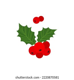 Christmas holly berry vector, mistletoe and leaf icon, ilex branch, cartoon xmas plant isolated on white background. Holiday illustration