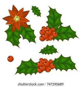 Christmas holly berry vector set isolated from the background. Decorative twigs, bunches of holly with red berries. Icons Christmas holly leaves in a flat style.
