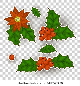 Christmas holly berry vector set isolated from the background. Decorative twigs, bunches of holly with red berries. Icons Christmas holly leaves in a flat style.Sticker for your design