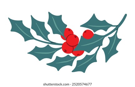 Sucursal de Natal Holly com folhas azuis verdes e bagas vermelhas. Ilustração de vetor