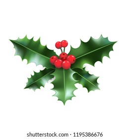 Christmas holly branch. Nature holiday element. Festive design for cards, invitation, poster, banner, advertising and so on.