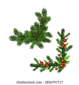 Christmas Holly brunches decoration vector