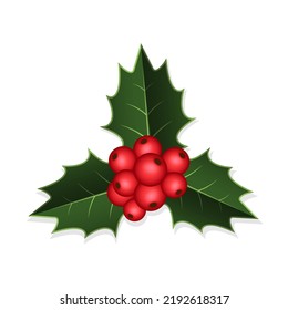 Christmas holly decoration with red berries and leaves on white isolated background, vector illustration