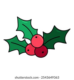 Christmas Holly Green Leaves with Red Berries Bouquet Icon Isolated on White Background. Hand draw holly symbol