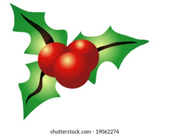 Christmas holly isolated on white background