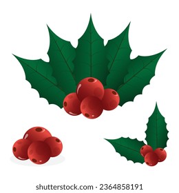 Christmas Holly Leaf Vector Design