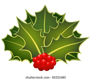 The christmas holly leafs with berries