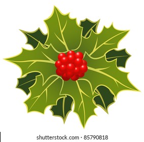 The christmas holly leafs with berries