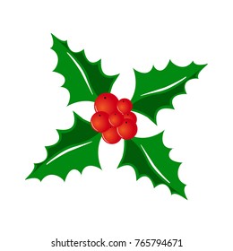 Christmas Holly with leaves and berries isolated on white background vector