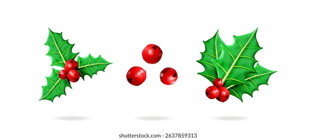 Christmas holly leaves and red berries 3d vector illustration collection set. Winter holiday season decoration design element for greeting card.
