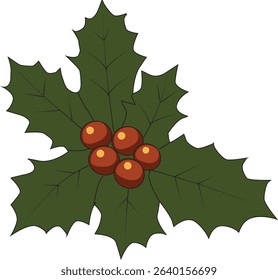 Christmas Holly Leaves with Red Berries – Festive Decorative Vector Illustration