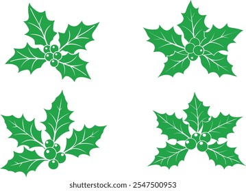 Christmas holly leaves vector illustration