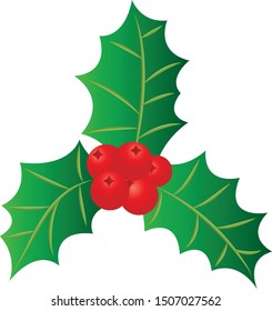 Christmas holly on white background