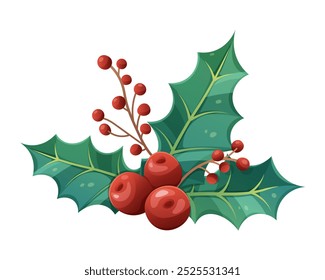 Weihnachtsfeier auf weißem Hintergrund. Festliche Pflanze mit roten Beeren. Vektorisoliertes Element