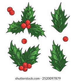 Christmas holly set logotypes colorful with spiky petals and red berries for new year product design vector illustration