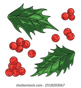 Christmas holly set stickers colorful with red berries and green petals in disassembled form for xmas decorations vector illustration