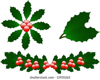 Christmas holly vector illustration