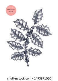 Christmas holly vector illustration. Evergreen tree with red berries. Hand drawn botanical sketch. Perfect for Christmas design, greeting cards, banner, decoration or packaging. Vintage outlines.