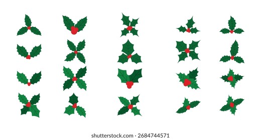 Weihnachten Heiliges Blatt Vektor Kollektion