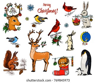 Christmas horned deer, squirrel and animals. New Year penguin and bird cardinal or tit in the forest. winter holidays. engraved hand drawn in old sketch and vintage style for postcards.