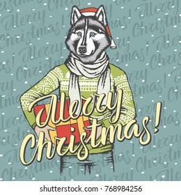 Christmas husky dog vector illustration. Dog in Santa hat and lettering merry Christmas