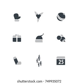 Christmas Icon Set Design Template Elements