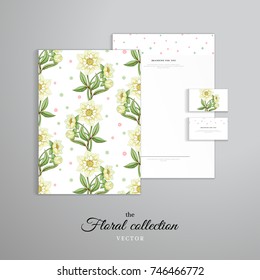 Christmas identity templates with hellebore. Letterhead, folder for documents, business cards. Winter design. 