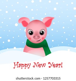 Christmas illustration. Banner with lettering. Piggy in a blue scarf sits in a snow.