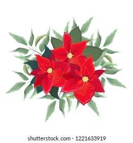 Christmas illustration. Bouquet of leaves and red poinsettia. All elements are isolated